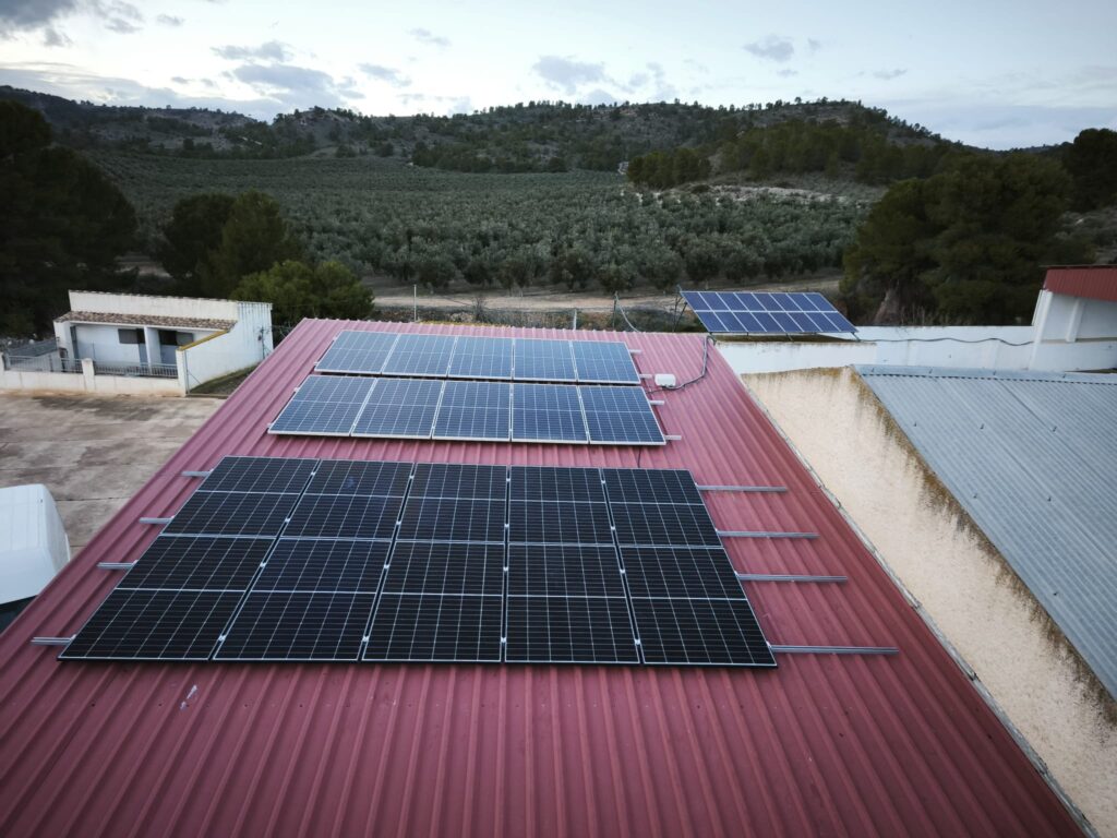 WhatsApp Image 2026 01 29 at 15.34.08